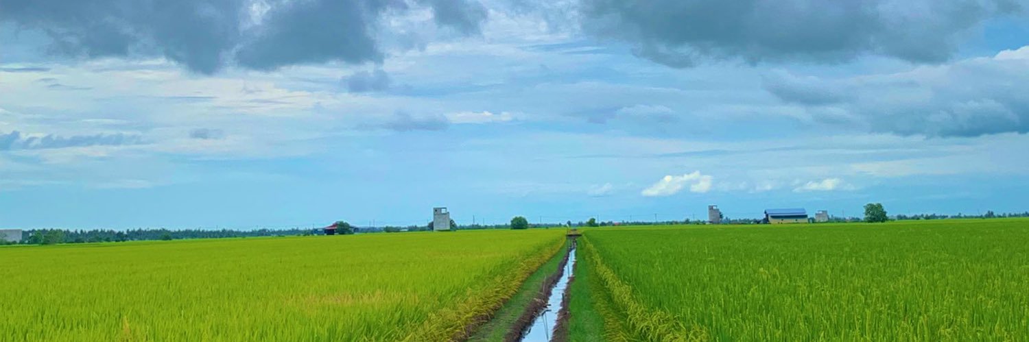 whonadiah's profile banner image