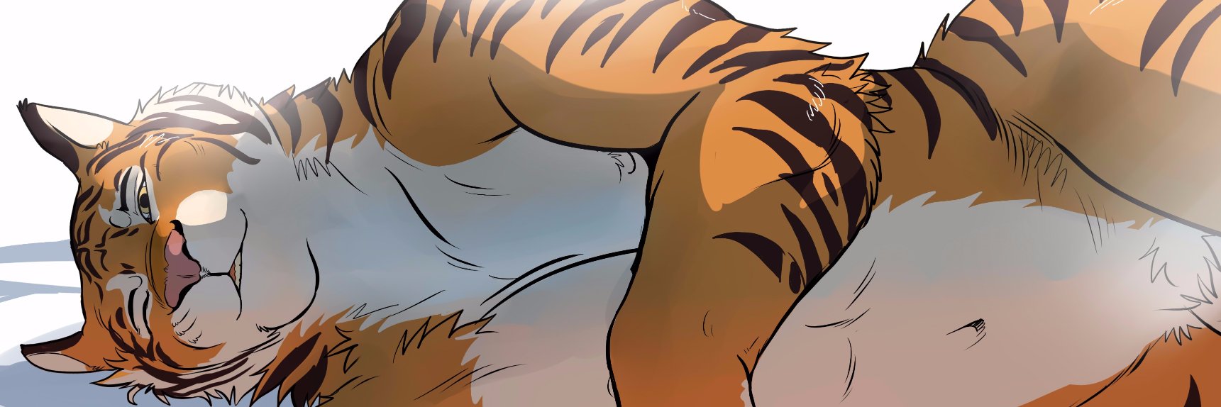 xB_Tiger's profile banner image
