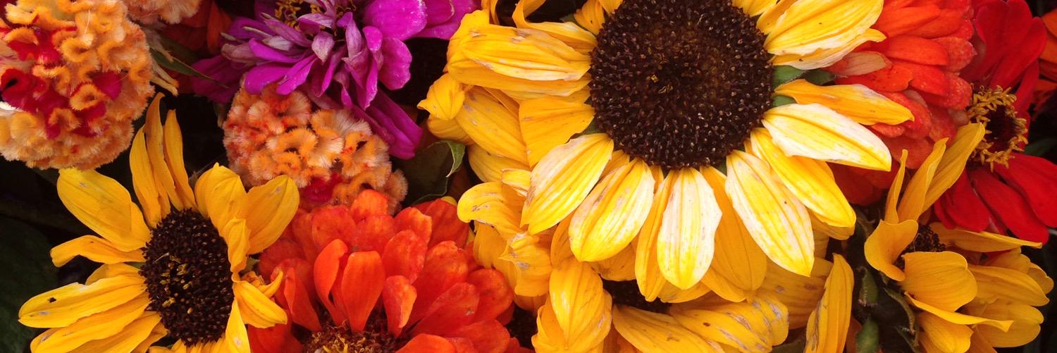 KenzieLou28's profile banner image