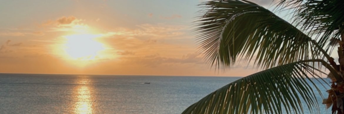 mparke__'s profile banner image