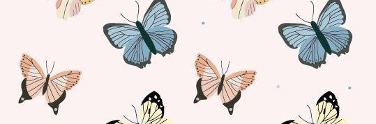 gicavallim's profile banner image