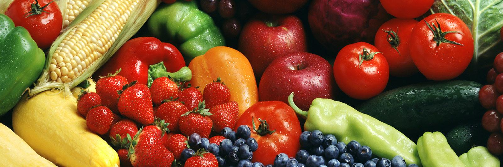WindsorTerraceFoodCo banner