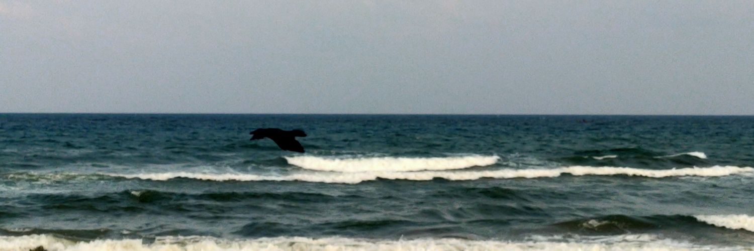 Dhinaraj1's profile banner image