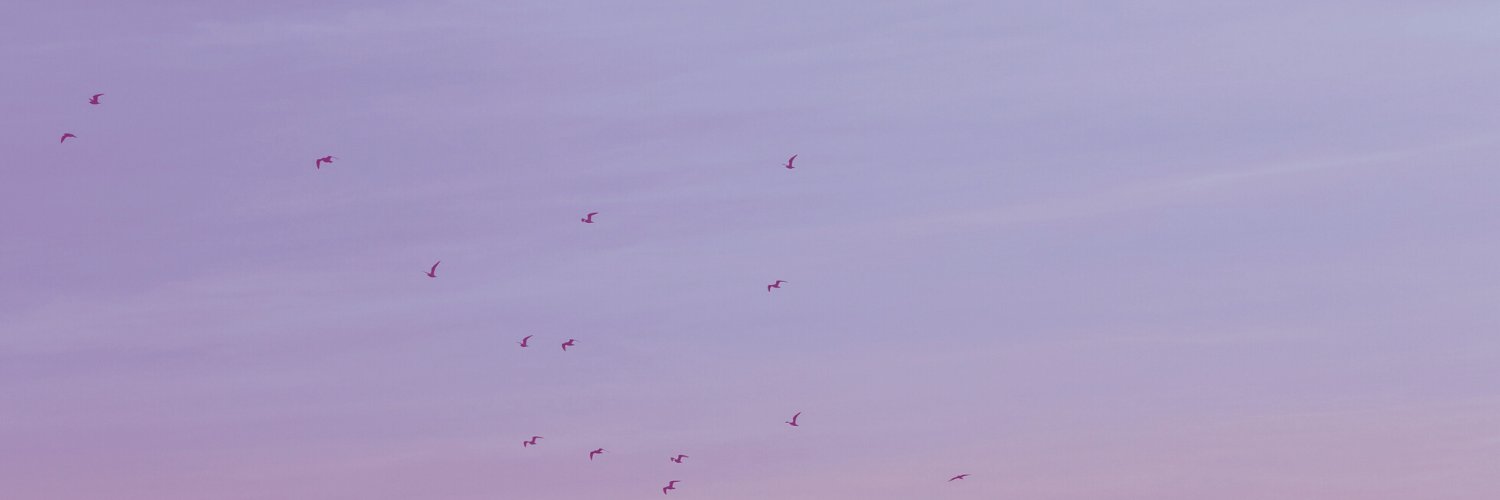 Jadyn Lamb banner