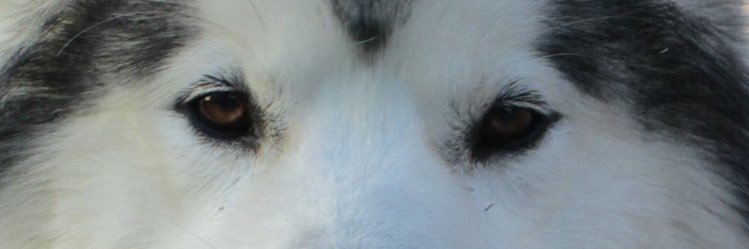 MrsDJA's profile banner image