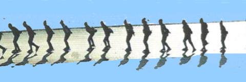 elfstedensite's profile banner image