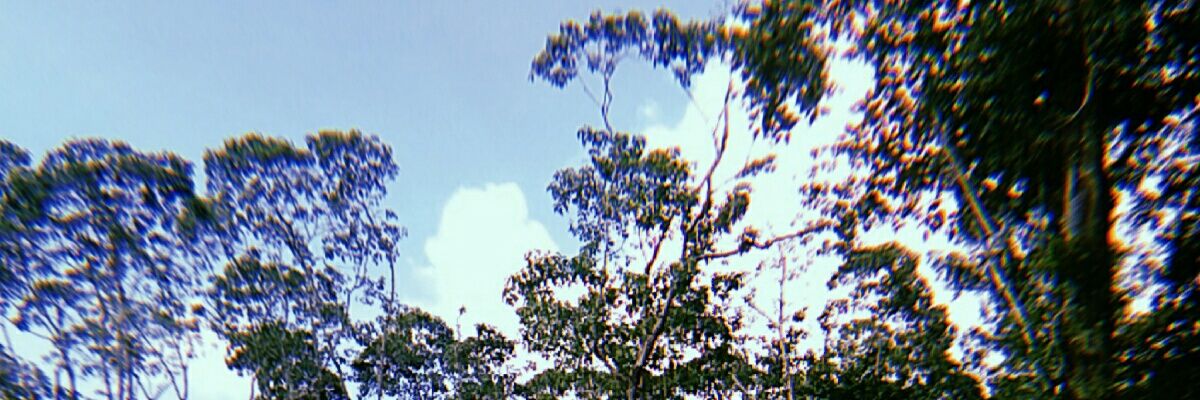 _svajone_a's profile banner image