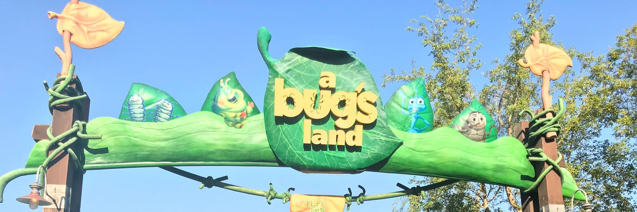 Iain MacKinnon (they/them) banner