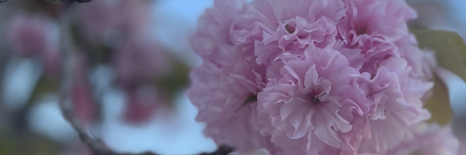 marumisa1126's profile banner image