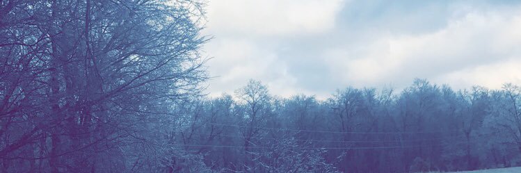 s_lightle24's profile banner image