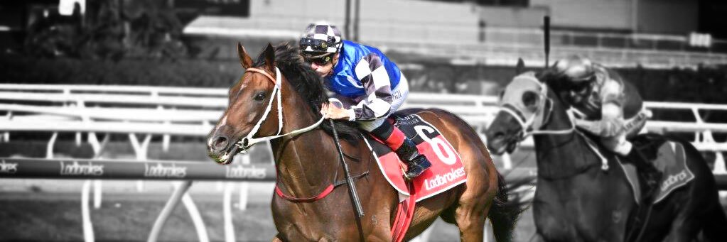 The Meigans 🏇🏾 banner