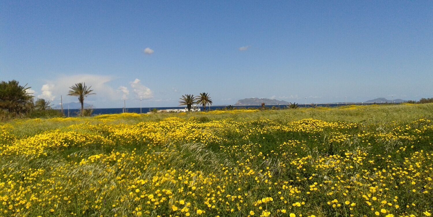 SicilyTour's profile banner image