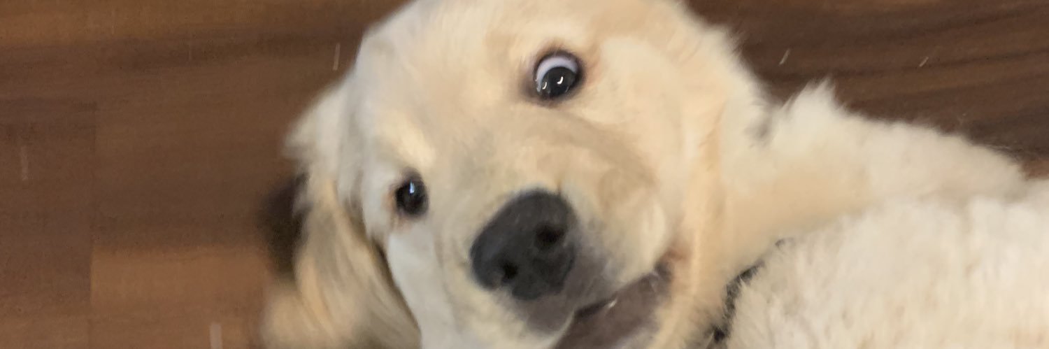 kaileyj98's profile banner image