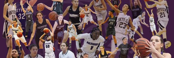 SLadyWolverines Profile Banner