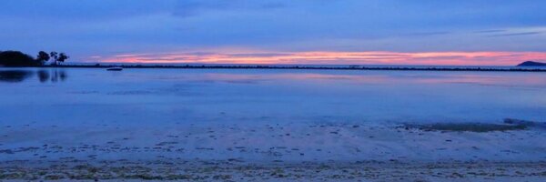 WOVWM Profile Banner