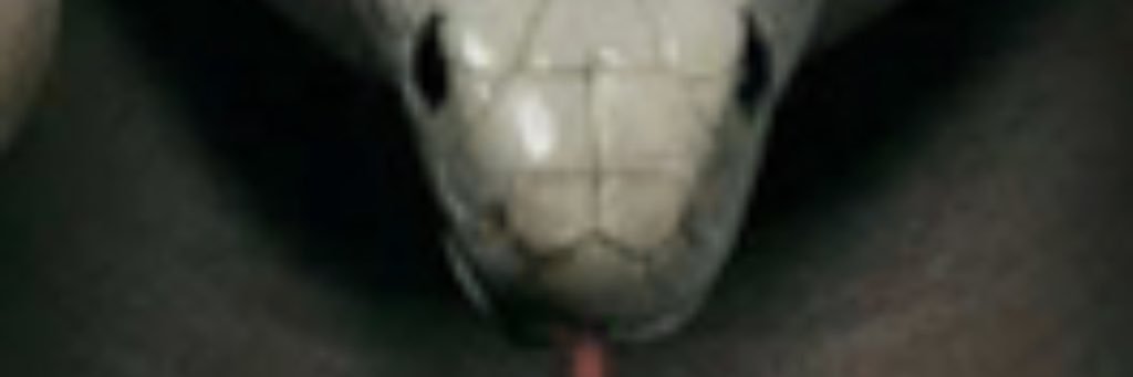 KCW_1986's profile banner image