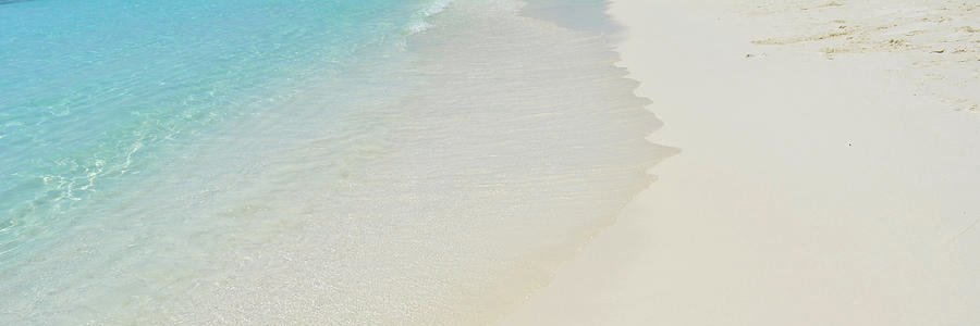 ellafang's profile banner image