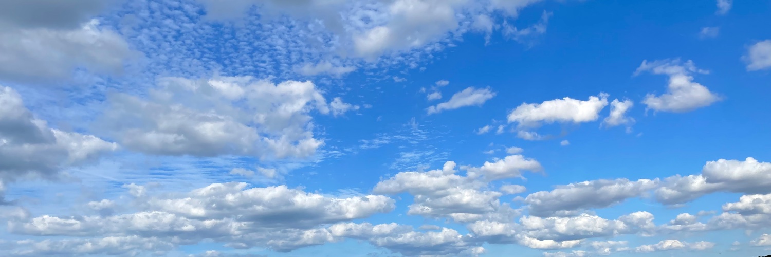 Leila Aridi Afas banner