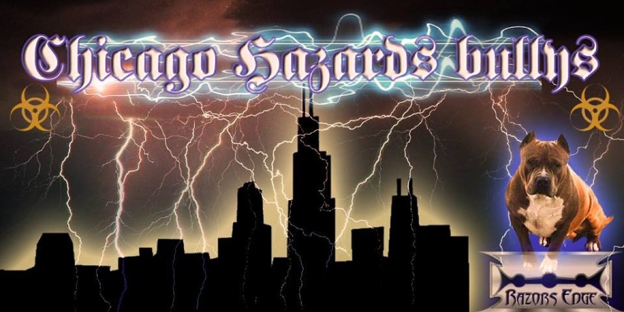 HazardsBullys's profile banner image