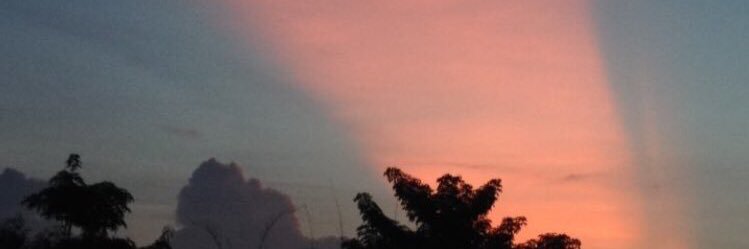 Malemyy's profile banner image