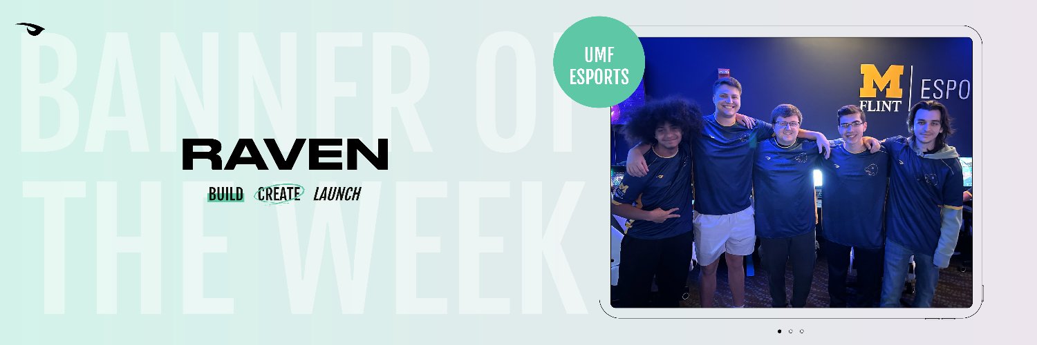 Raven banner