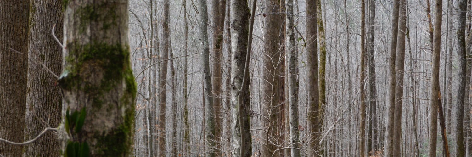 adamDAmaughan's profile banner image