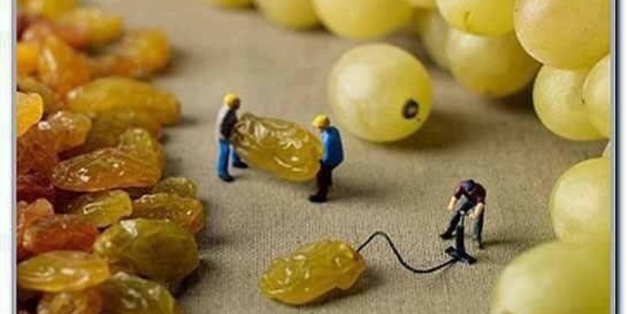 Bruce Wallner banner