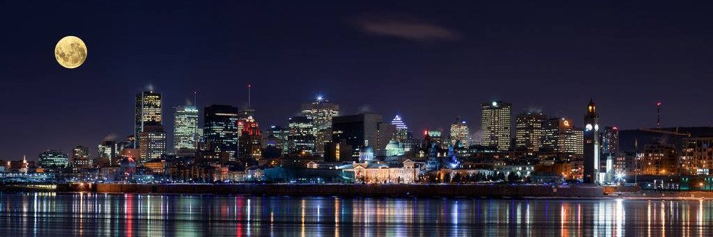 lashish's profile banner image