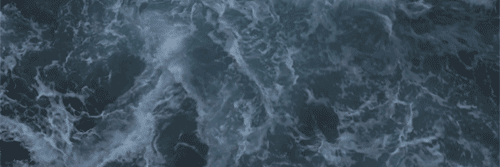 clarkegrffins's profile banner image