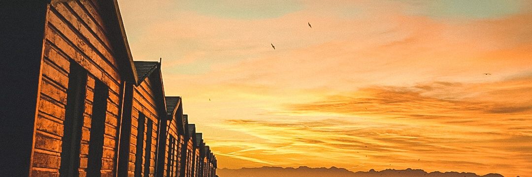 omryoresh's profile banner image