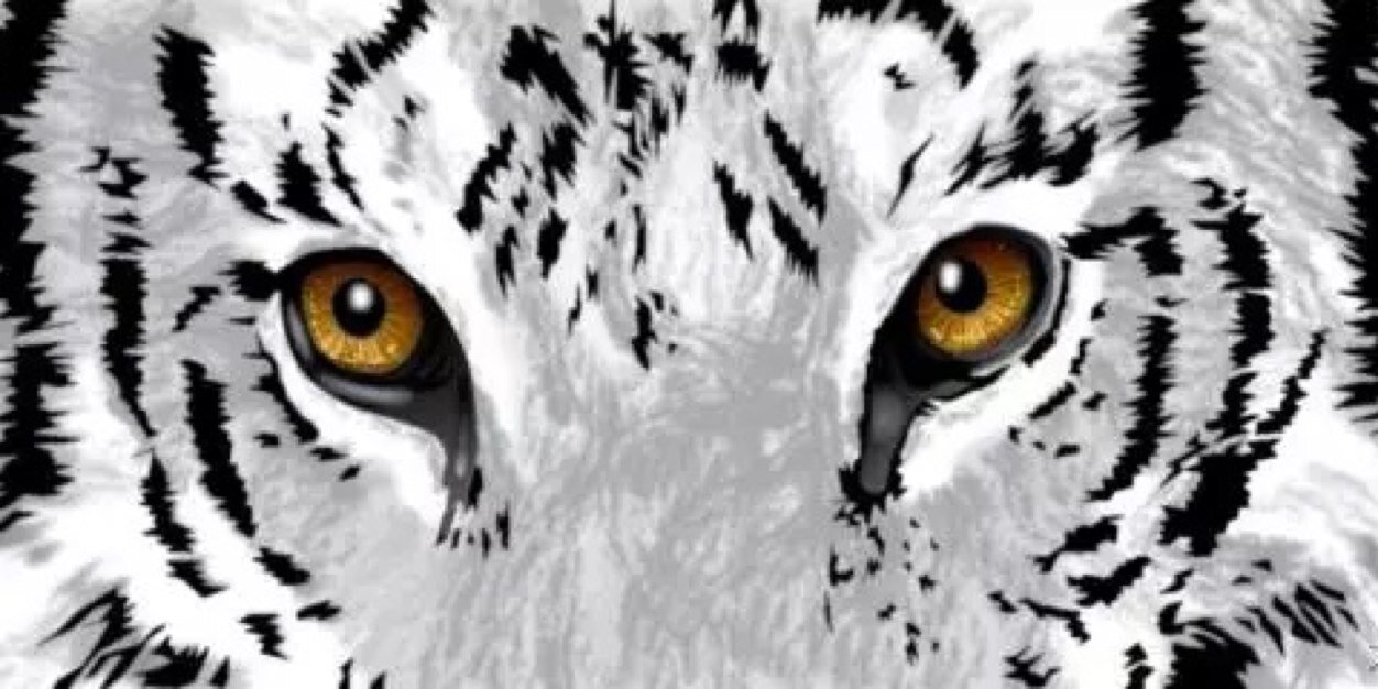 2High2WonderWhy's profile banner image