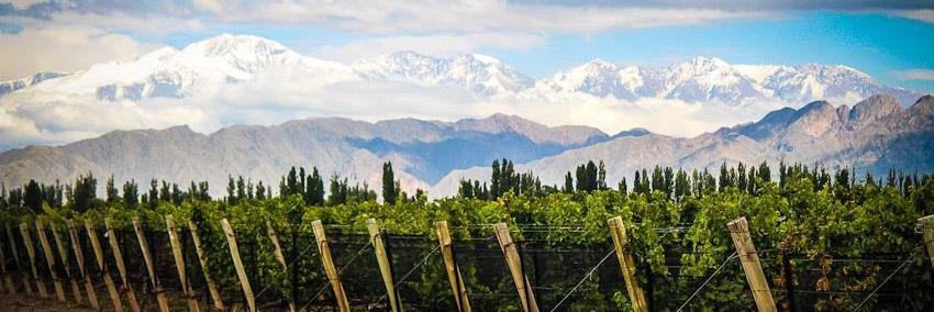 Uncorking Argentina banner