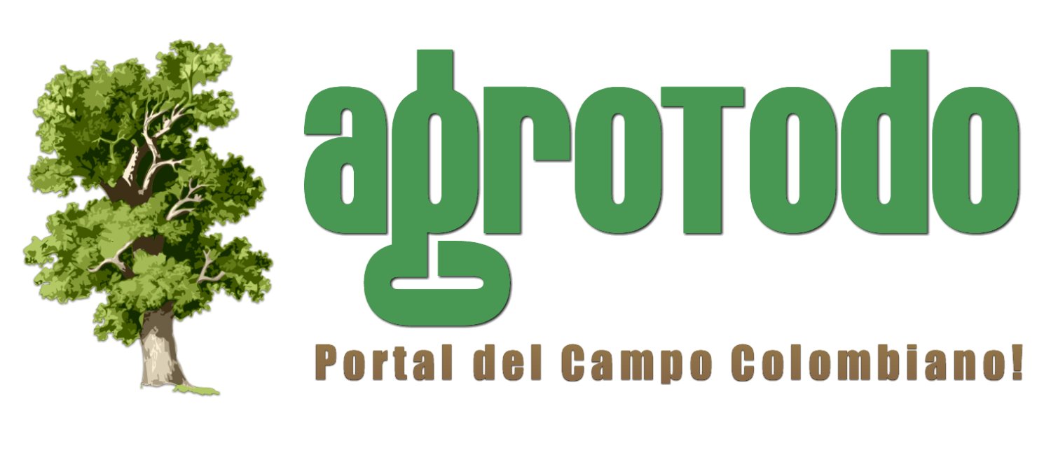 Agrotodo banner