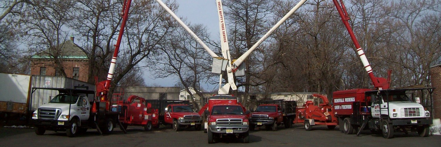 UMTreeService's profile banner image