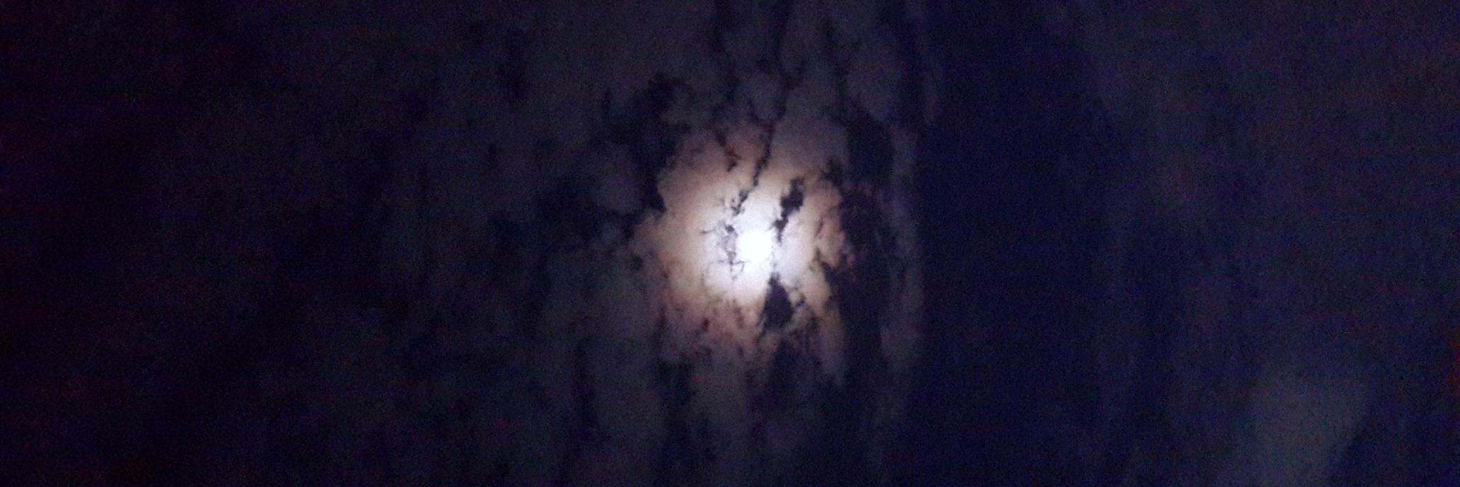 Sebastian Postiglione banner