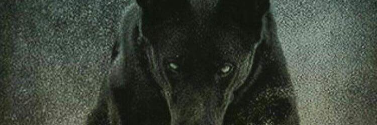 blakbolt7's profile banner image