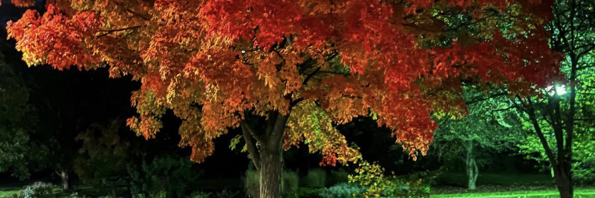 TheFreeVP's profile banner image