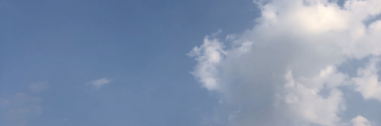 formrida's profile banner image