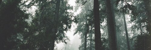 PulhoBoi's profile banner image