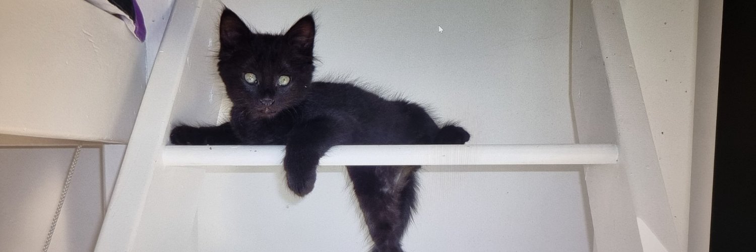 🇫🇷iakno 🅩 banner