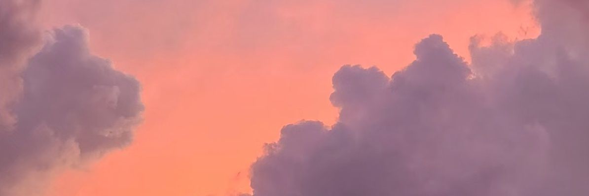 theonlywithswag's profile banner image