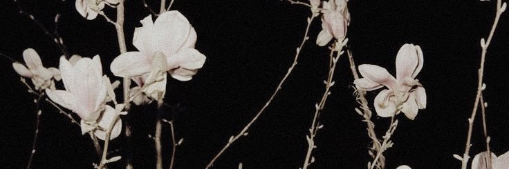 emonbebe nyana :: seeing bts。 banner