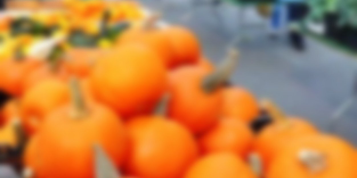 M_____m__'s profile banner image