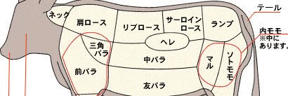 tanikawa0128's profile banner image