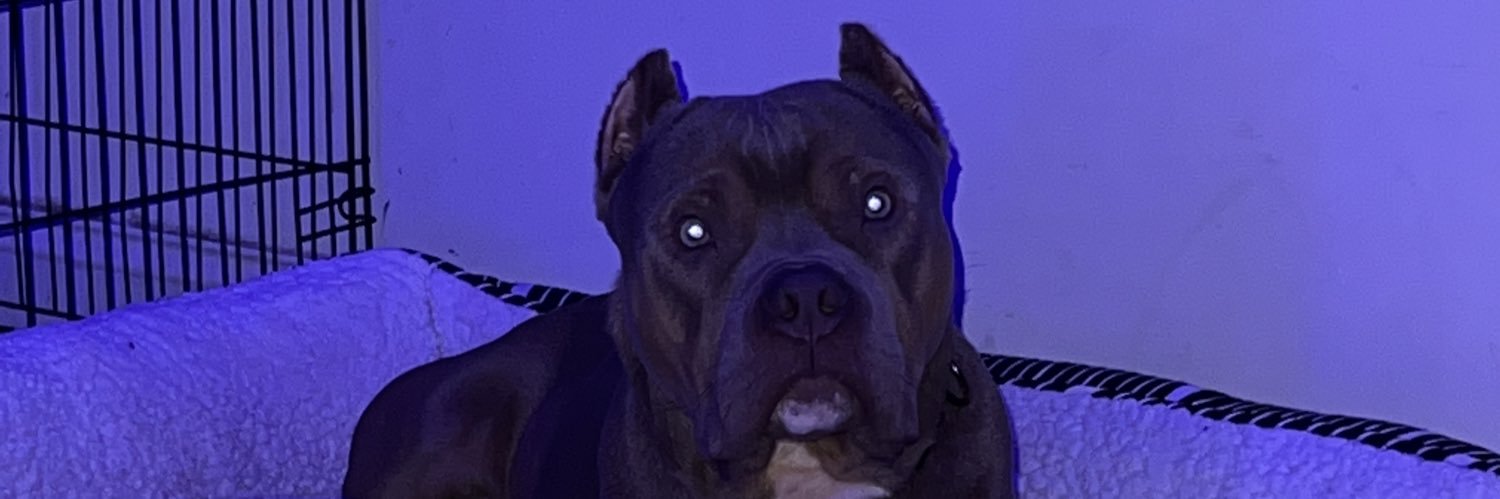 _theofficialAB's profile banner image