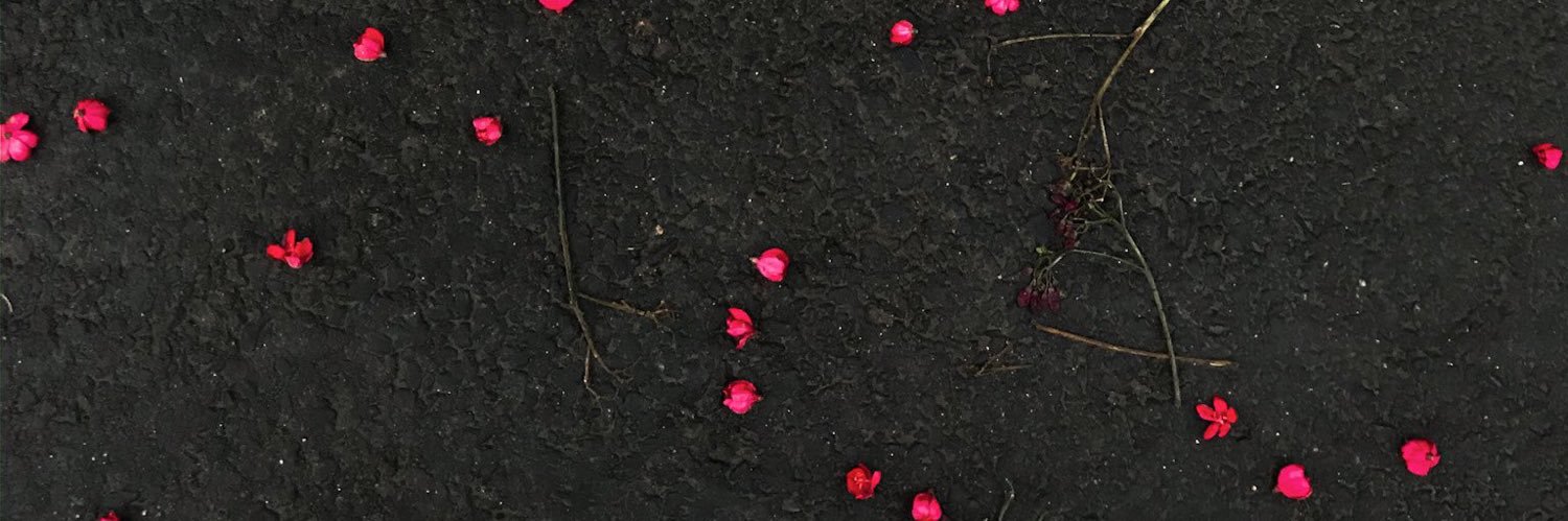 bbuush123's profile banner image