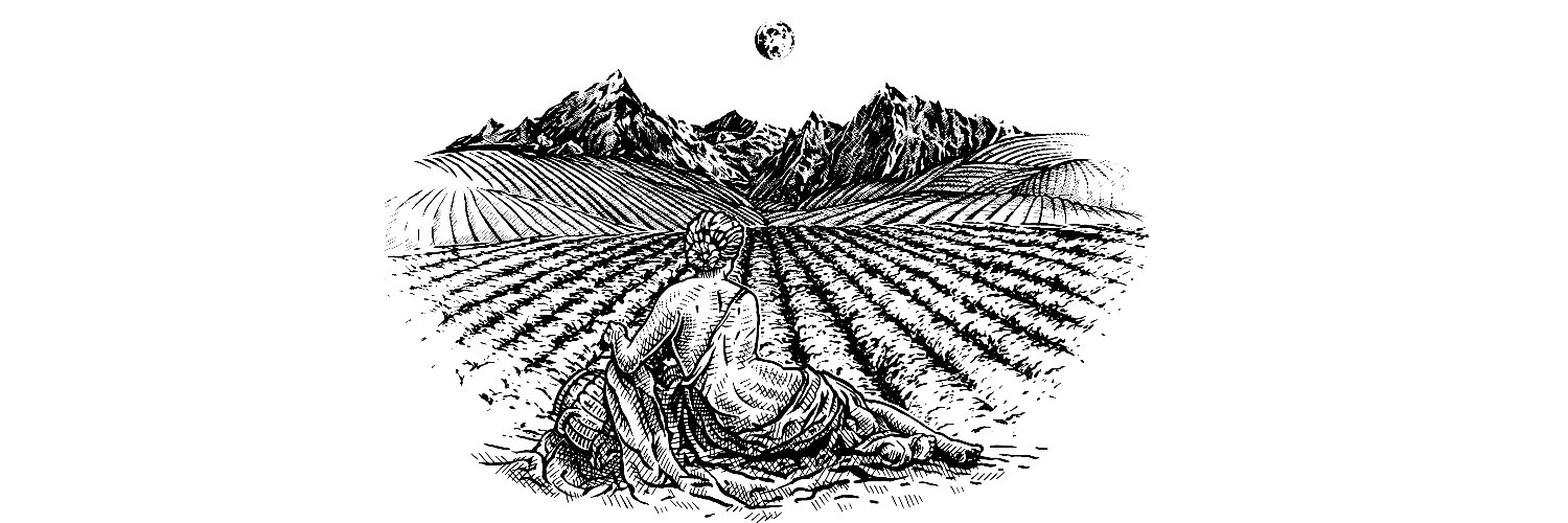 kreshnik berisha banner