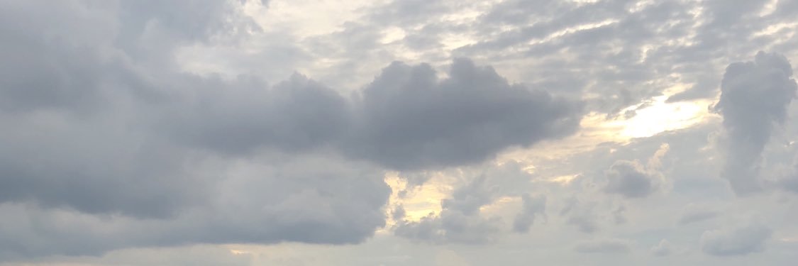 lizroar's profile banner image