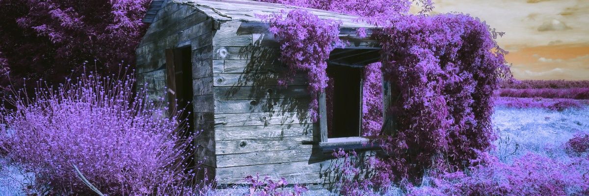 UnFormedHeart's profile banner image