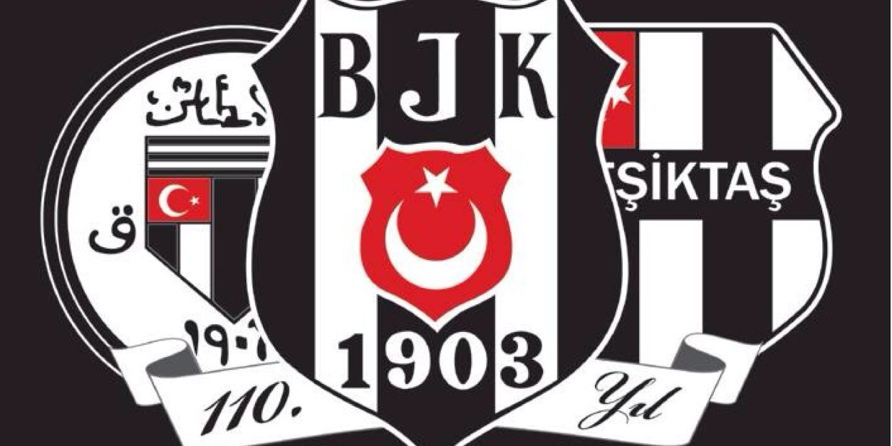 Zeliha Livaneli banner